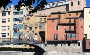 header sunny image